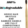 410hmVLNaQL._AC_.jpg Brosses à dents bambou crin cheval — Lot de 6