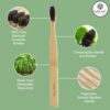 41FBAPN5aL._AC_.jpg Brosses à dents bambou crin cheval — Lot de 6