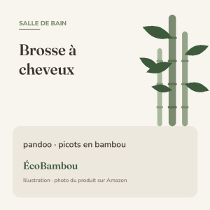 Illustration ÉcoBambou : pandoo – Brosse à cheveux en bambou à picots